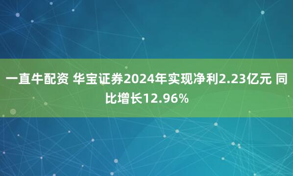 一直牛配资 华宝证券2024年实现净利2.23亿元 同比增长12.96%