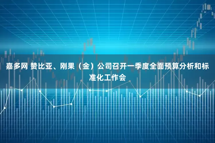 嘉多网 赞比亚、刚果（金）公司召开一季度全面预算分析和标准化工作会