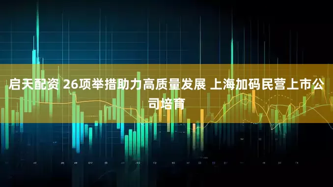 启天配资 26项举措助力高质量发展 上海加码民营上市公司培育
