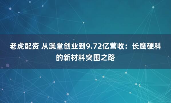 老虎配资 从澡堂创业到9.72亿营收：长鹰硬科的新材料突围之路