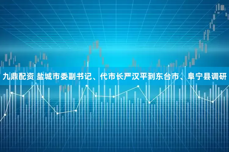 九鼎配资 盐城市委副书记、代市长严汉平到东台市、阜宁县调研